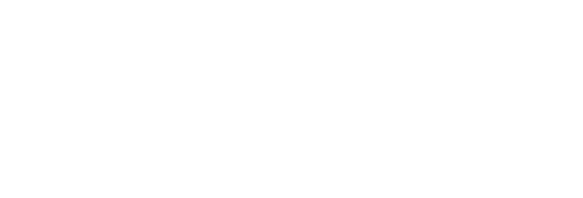Zebra logo