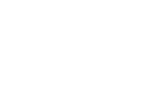intY logo